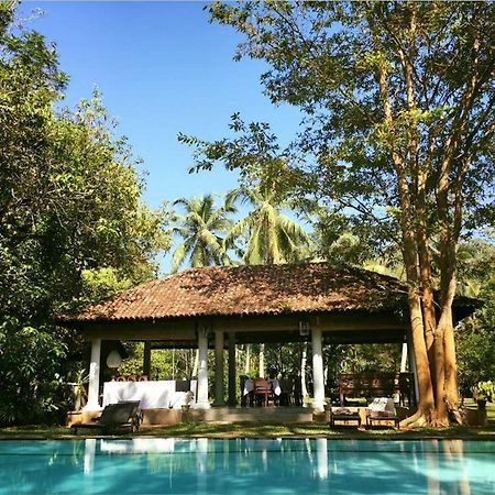 Nisala Arana Boutique Hotel ベントータ エクステリア 写真