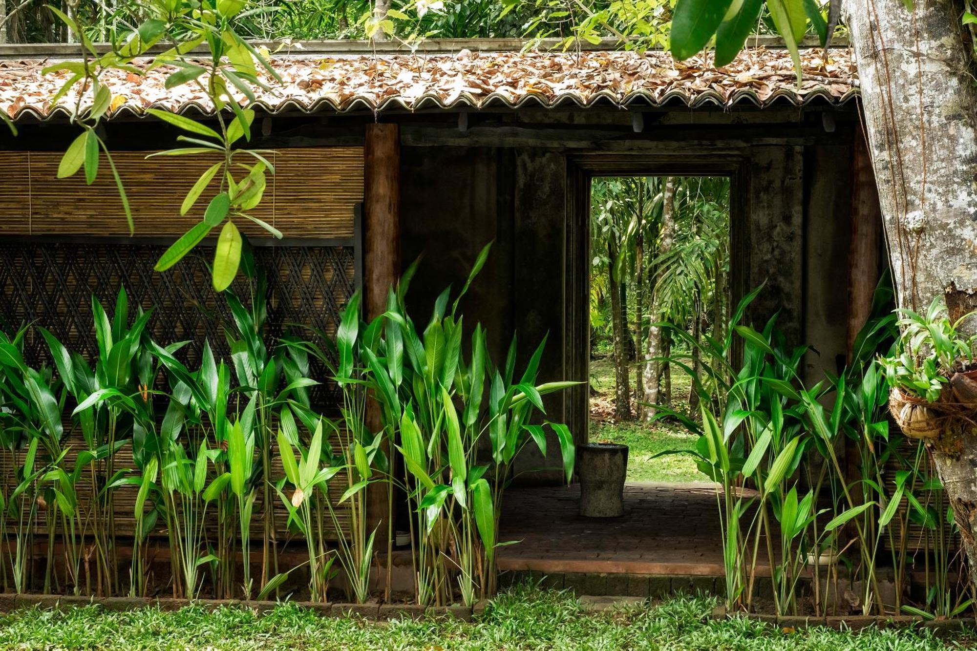 Nisala Arana Boutique Hotel ベントータ エクステリア 写真
