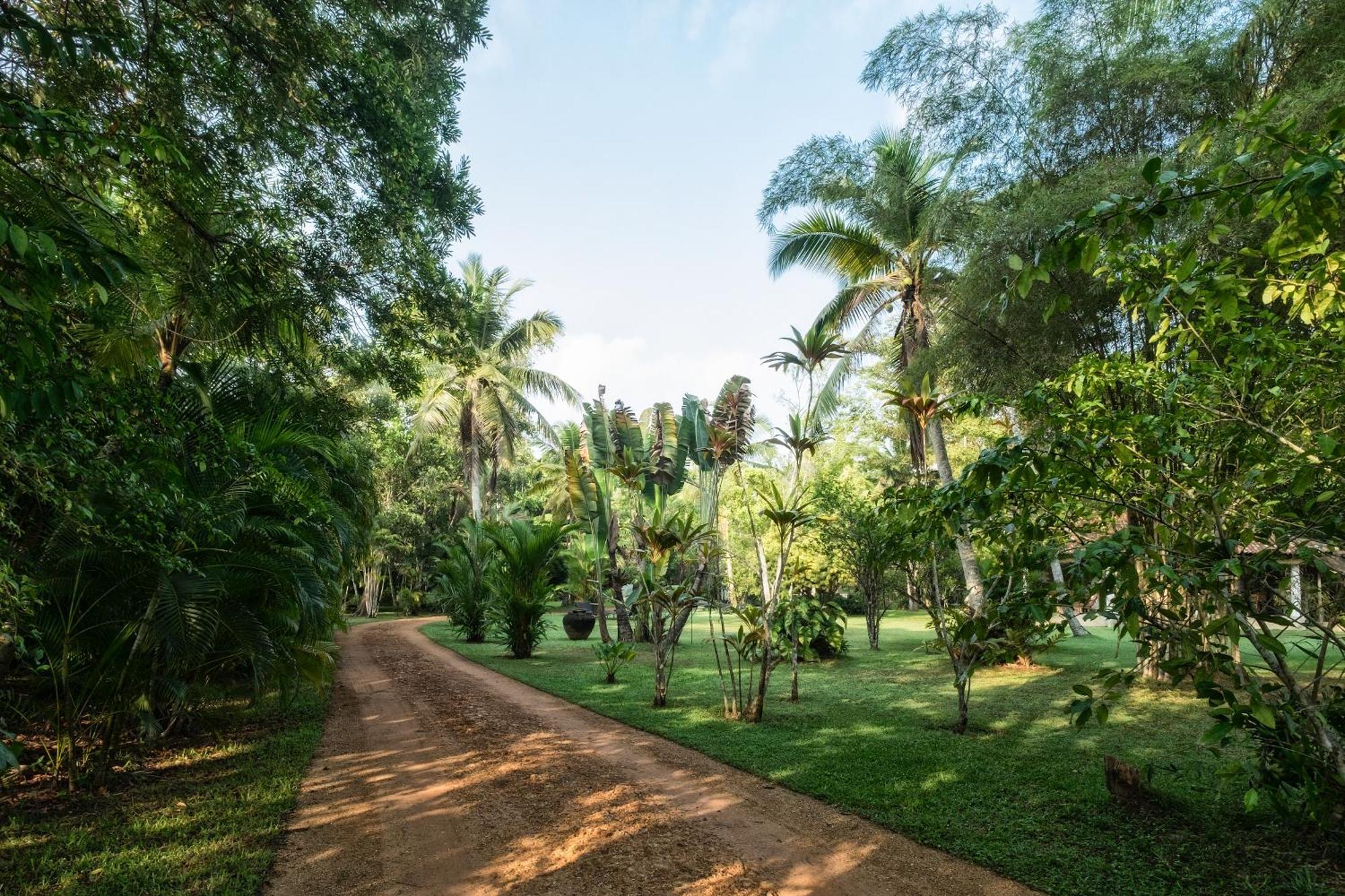Nisala Arana Boutique Hotel ベントータ エクステリア 写真