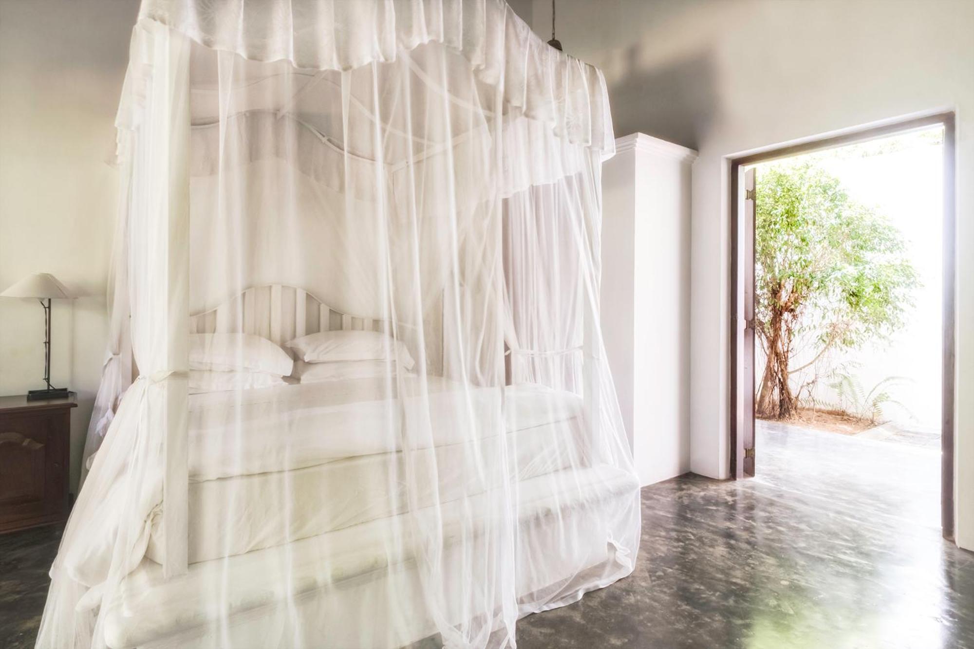 Nisala Arana Boutique Hotel ベントータ エクステリア 写真