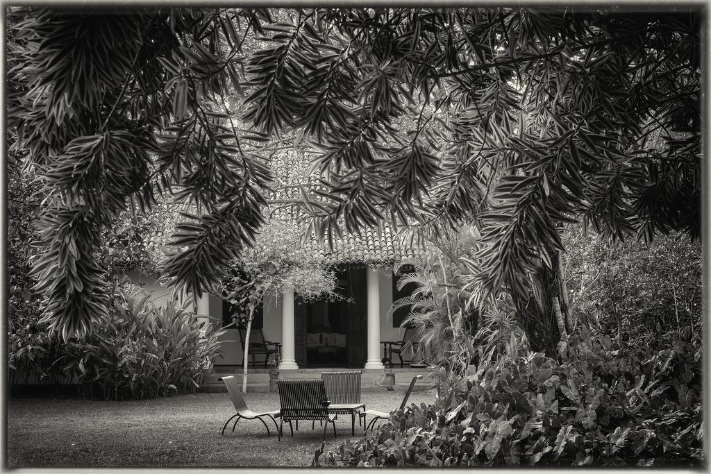 Nisala Arana Boutique Hotel ベントータ エクステリア 写真