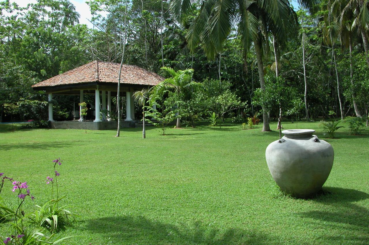 Nisala Arana Boutique Hotel ベントータ エクステリア 写真