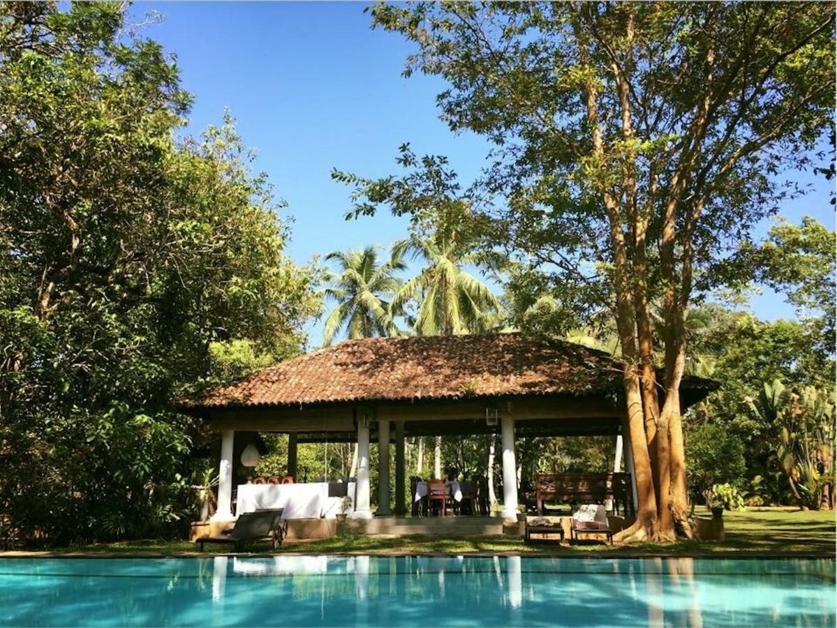 Nisala Arana Boutique Hotel ベントータ エクステリア 写真